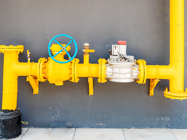 zoty��ŷ��(�й�)�����ٷ���վ