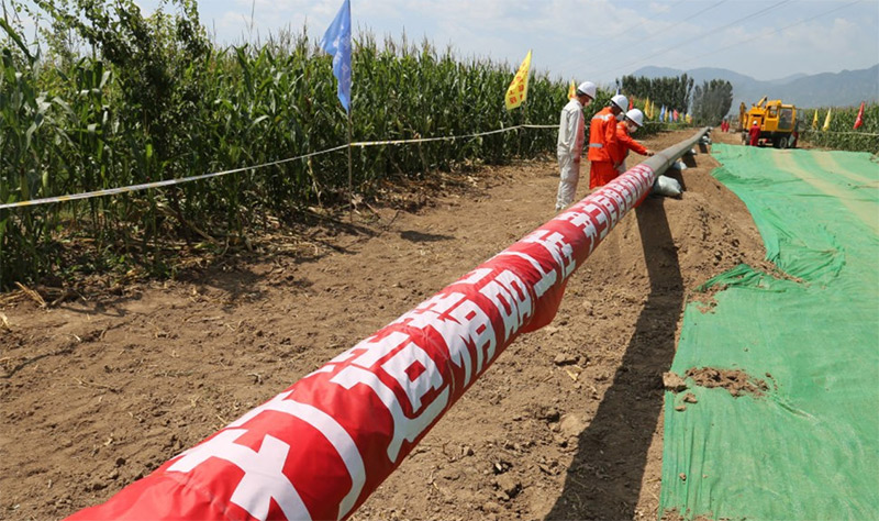 zoty��ŷ��(�й�)�����ٷ���վ